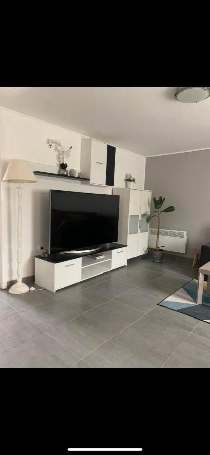 Appartamento Convivialetzen Chatenoy-le-Royal Esterno foto