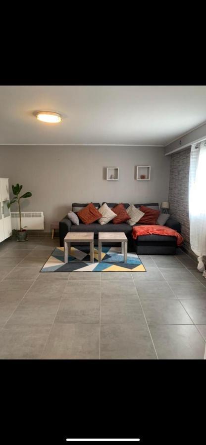 Appartamento Convivialetzen Chatenoy-le-Royal Esterno foto
